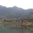 陽山區 陽山區