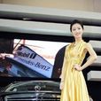 陳婷婷(被網友稱為“神仙姐姐”的模特) 陳婷婷(被網友稱為“神仙姐姐”的模特)