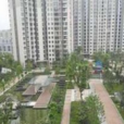 翠杉園 翠杉園