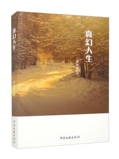真幻人生(2024年中國文聯出版社出版的圖書) 真幻人生(2024年中國文聯出版社出版的圖書)