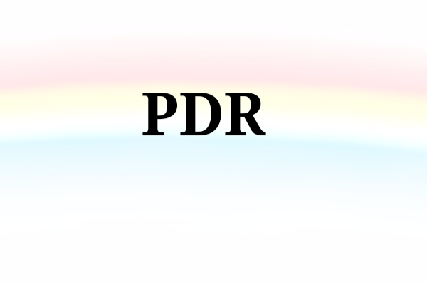 PDR(醫學術語)