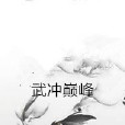 武沖巔峰 武沖巔峰
