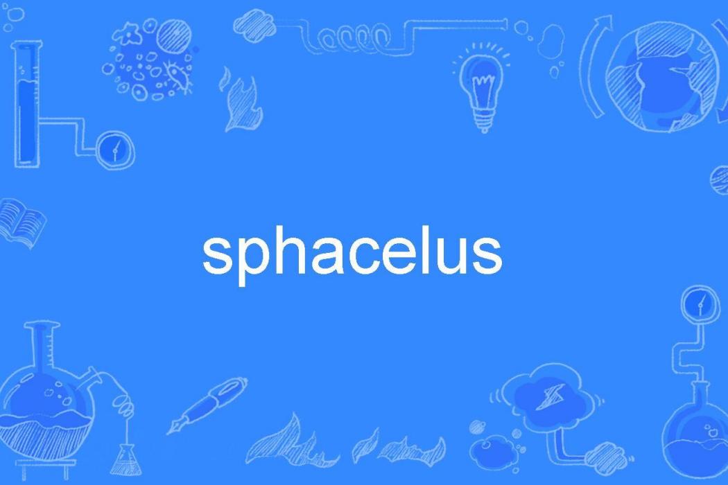 sphacelus sphacelus