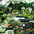 高田坑村 高田坑村