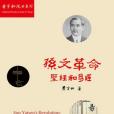 孫文革命 孫文革命