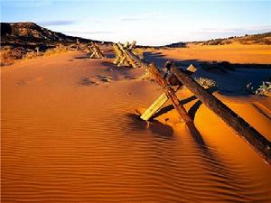 乾旱的巴塔哥尼亞沙漠