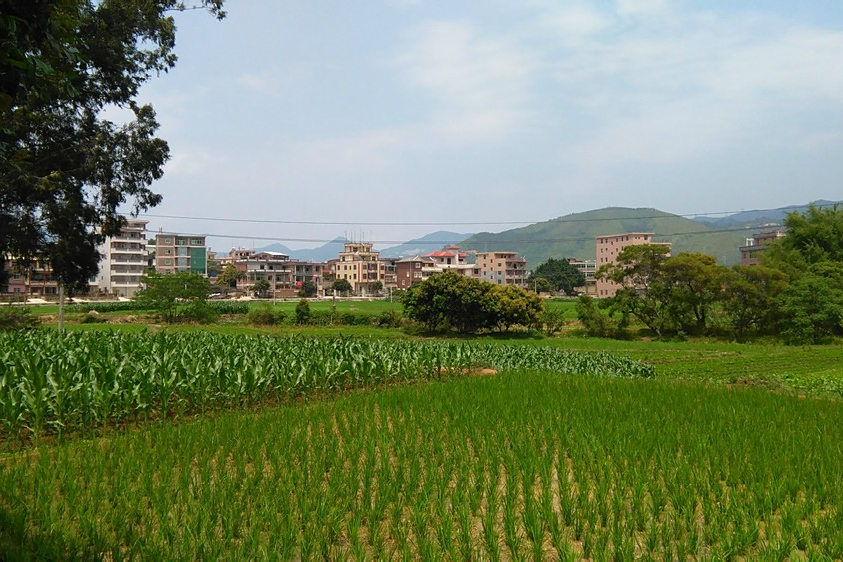 杏川村 杏川村