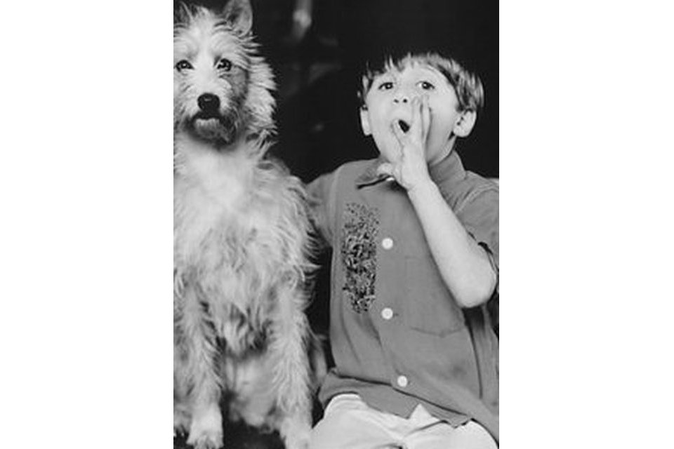 Seth Mumy Seth Mumy