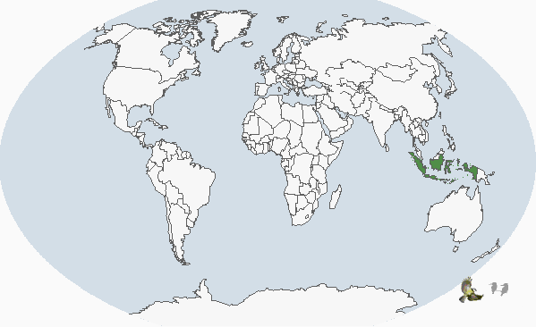 褐頭綠吸蜜鸚鵡分布圖