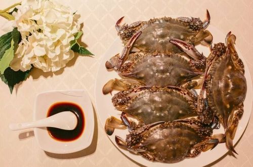 渤海梭子蟹 渤海梭子蟹