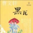 黑瓦(2010年中國少兒出版社出版的圖書) 黑瓦(2010年中國少兒出版社出版的圖書)