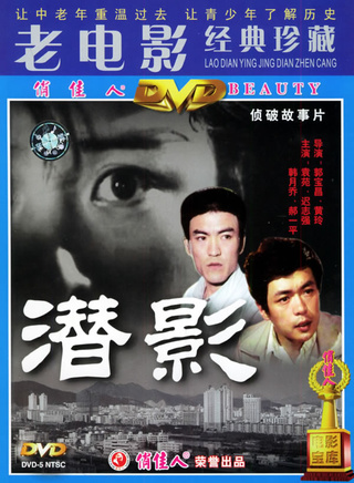 李萍(中國內地資深藝人)