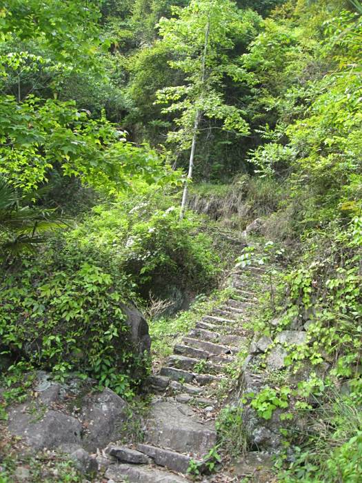 吳垟嶺古道 吳垟嶺古道