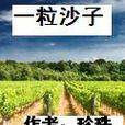 一粒沙子 一粒沙子
