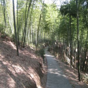 華蓋山山道