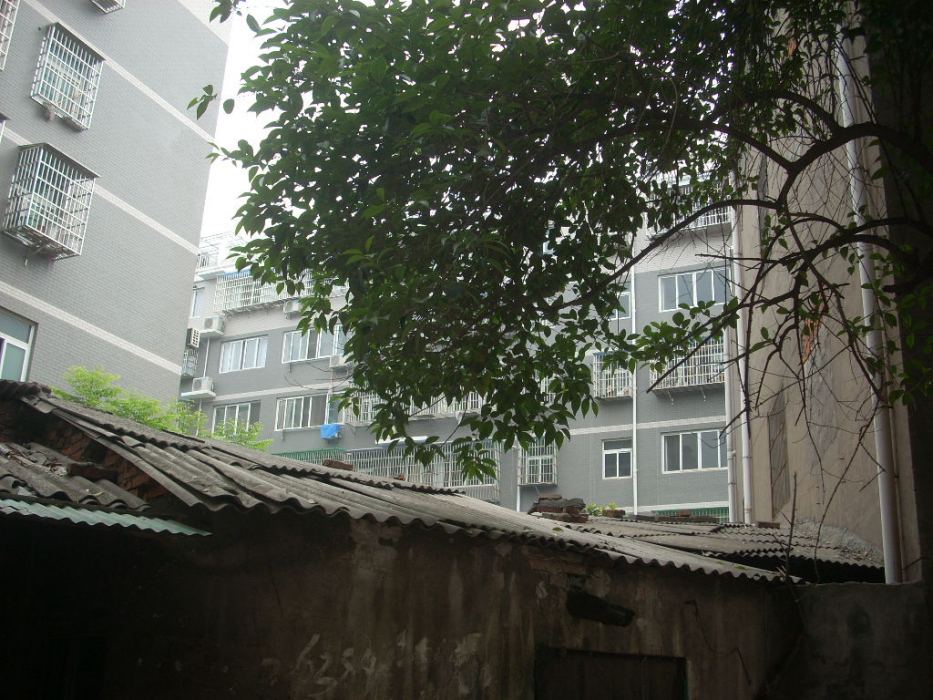 荊江家緣 荊江家緣