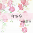白澤令(神跡楚氏創作的網路小說)