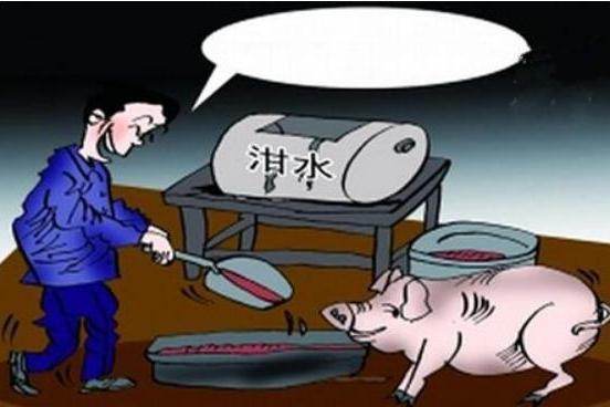 潲水豬 潲水豬