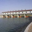 李橋水庫 李橋水庫