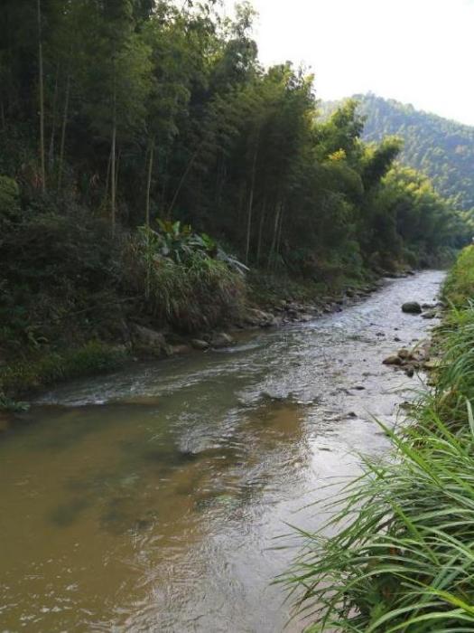 保上村(江西省資溪縣石峽鄉下轄行政村) 保上村(江西省資溪縣石峽鄉下轄行政村)