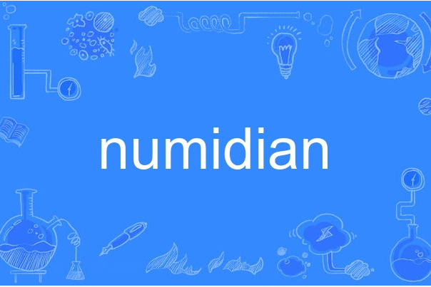 numidian numidian