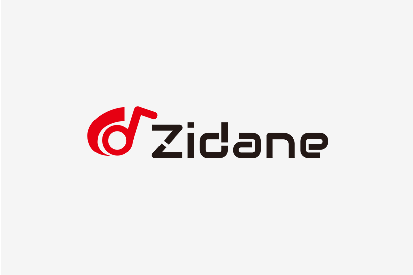 Zidane Zidane