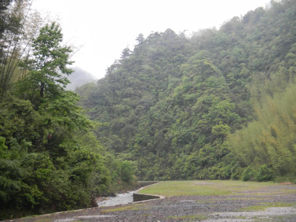 雙牌陽明山省級自然保護區森林資源