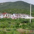 錢江村 錢江村