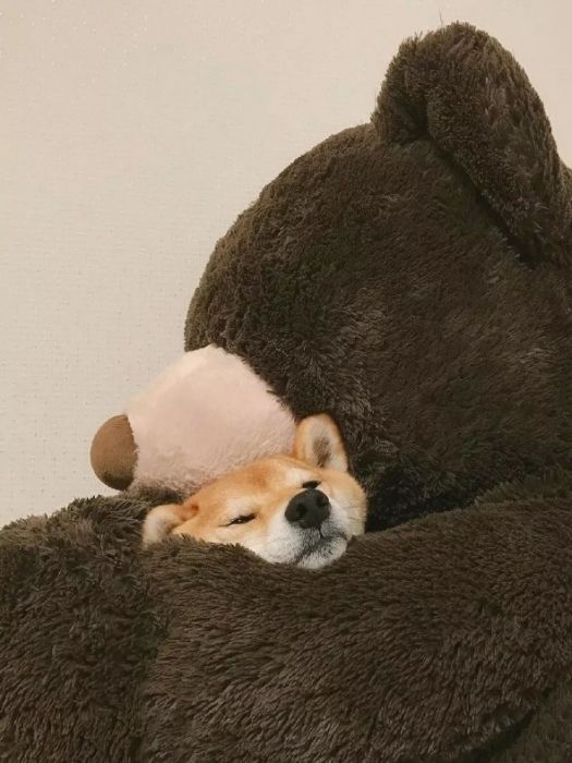 最是溫柔 最是溫柔