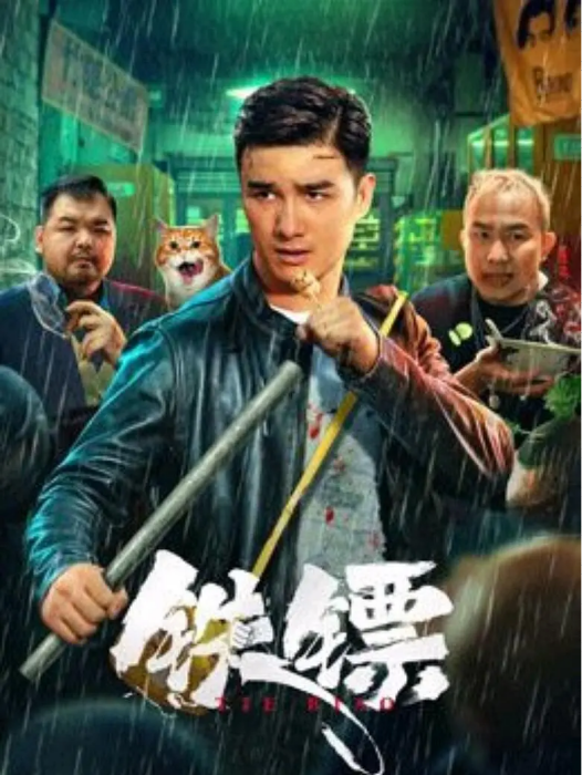 鐵鏢 鐵鏢