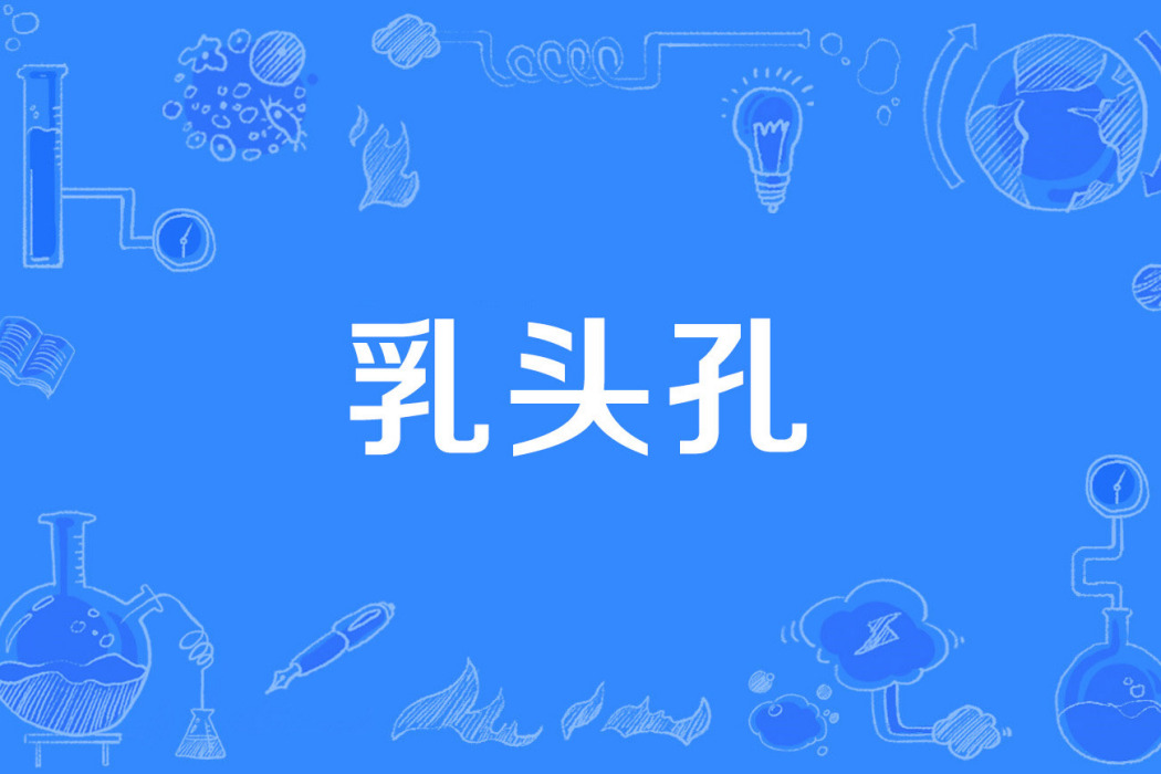 乳頭孔 乳頭孔