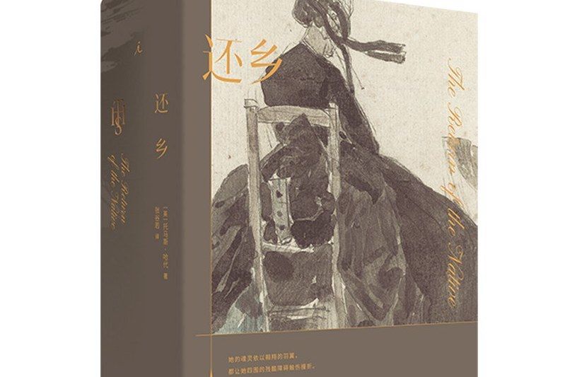 還鄉(2021年廣西師範大學出版社出版的圖書) 還鄉(2021年廣西師範大學出版社出版的圖書)