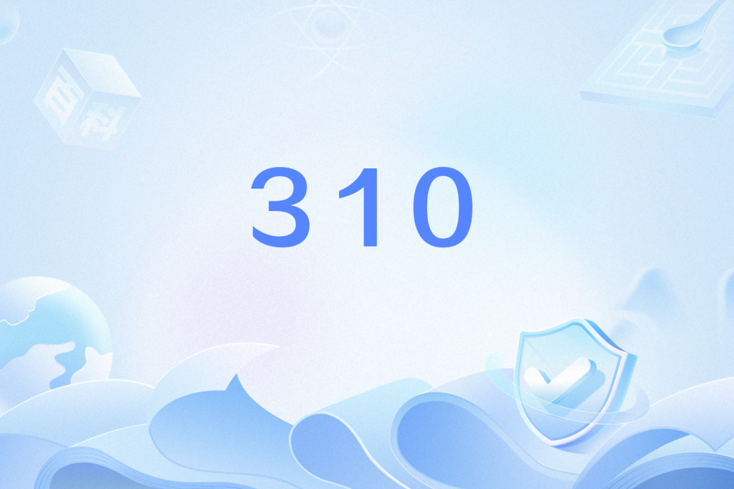 310 310