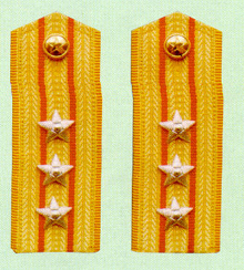 武警上校常服肩章(1988-2007)