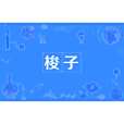 梭子(漢語詞語) 梭子(漢語詞語)
