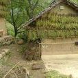 王家營村(雲南巧家縣小河鎮下轄村) 王家營村(雲南巧家縣小河鎮下轄村)
