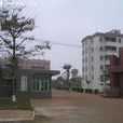 西洋村(廣東省徐聞縣龍塘鎮下轄村) 西洋村(廣東省徐聞縣龍塘鎮下轄村)