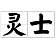 靈士(詞語解釋) 靈士(詞語解釋)