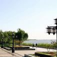 洛浦公園 洛浦公園