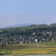 東營村(雲南省大理州鶴慶縣辛屯鎮東營村) 東營村(雲南省大理州鶴慶縣辛屯鎮東營村)