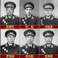 十大元帥 十大元帥