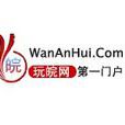 玩皖網 玩皖網