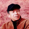 李傳新(畫家) 李傳新(畫家)