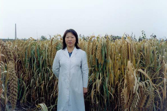 蒙豐谷11號 蒙豐谷11號