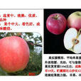 果樹育種 果樹育種