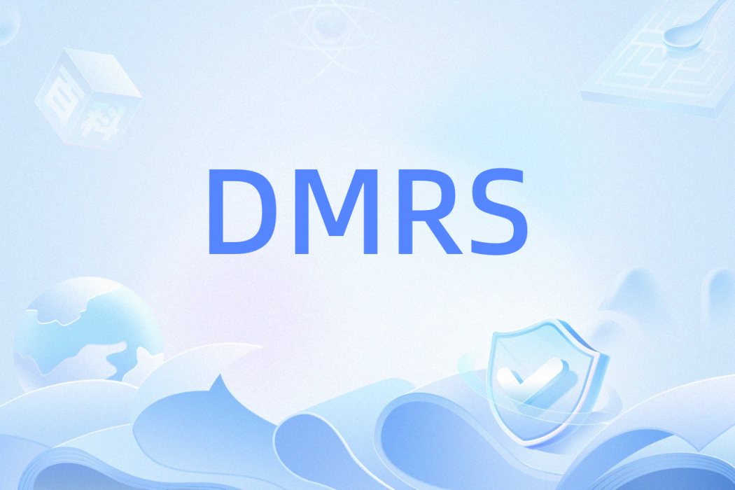 DMRS DMRS