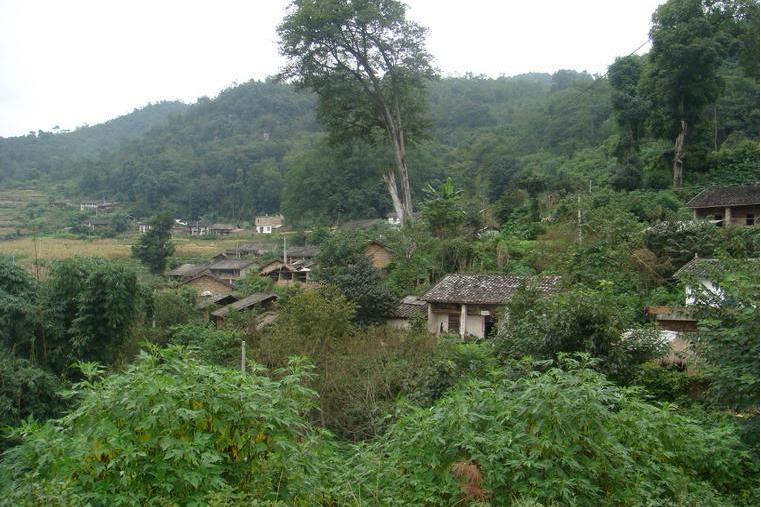 渭友村 渭友村