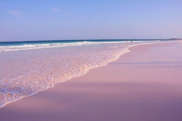 粉色沙灘
