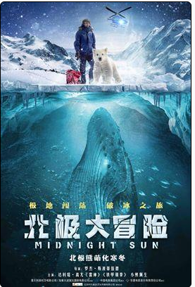 北極大冒險(2016年達科塔·高尤主演電影)