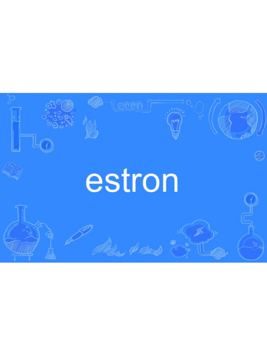 estron estron
